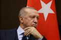 [...] La vendetta di  Erdogan: espelle 10 ambasciatori, tranne quello italiano