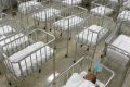 Natalità, l'allarme dell'Istat: la pandemia fa crollare le nascite, 30mila nati in meno dall’inizio del 2020