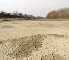 SOS siccità, Coldiretti: a rischio il 28% dell’Italia