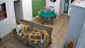 Napoli, il video del ladro che tenta di entrare in casa mentre la proprietaria è sul divano fa il giro del mondo