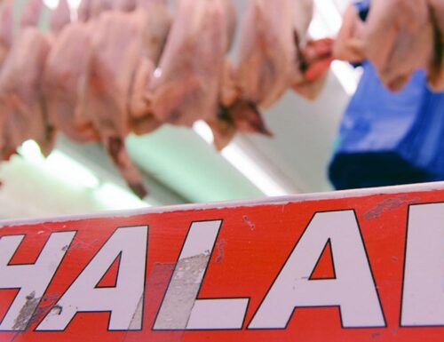 L’ultima buffonata  del Pd: vuole carne halal nelle scuole di Pisa