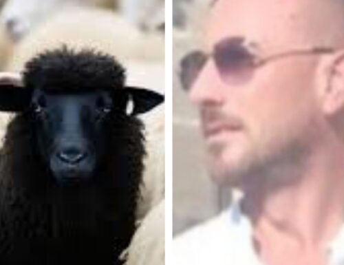 Daniele: “Pecore sole o nel gregge, sempre pecore rimangono”