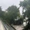 Texas, campi scout investiti dal fiume: 24 morti, 25 bambine tra i dispersi